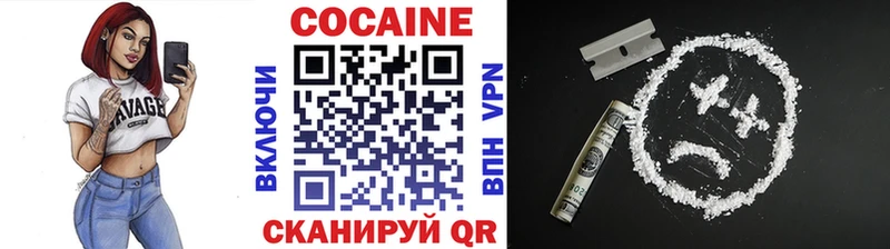 купить наркотики цена  Усть-Илимск  Кокаин FishScale 