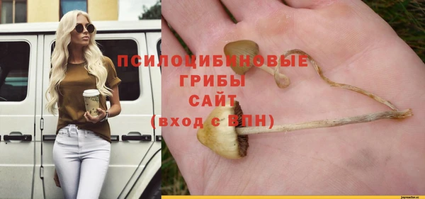 амф Алексин