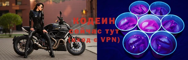 сатива Абаза