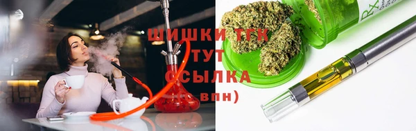 амф Алексин