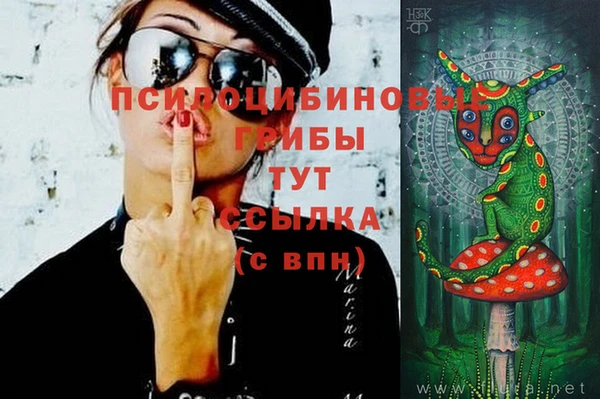 амф Алексин