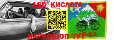 альфа пвп Новокубанск