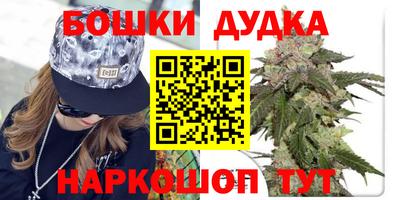 альфа пвп Новокубанск