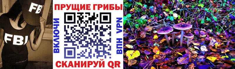 KRAKEN tor  купить закладку  Усть-Илимск  Псилоцибиновые грибы мицелий 