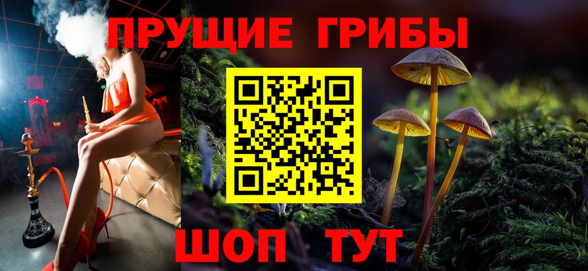наркошоп  Вход с VPN  Усть-Илимск  Псилоцибиновые грибы GOLDEN TEACHER 