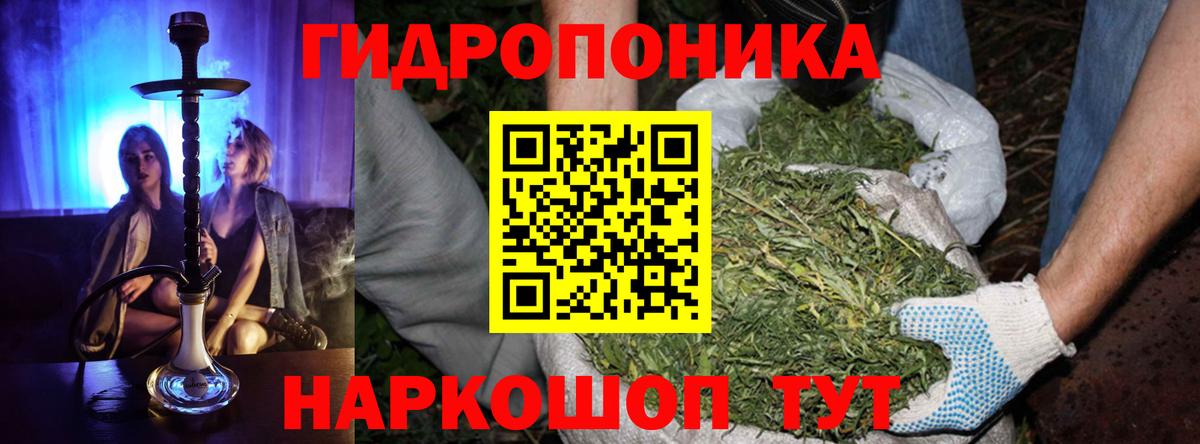 Бошки марихуана Bruce Banner  Вход с VPN  Шишки марихуана планчик  Бошки Шишки тримм  Усть-Илимск 